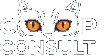 Coop Consult, Digitale dienstverlening