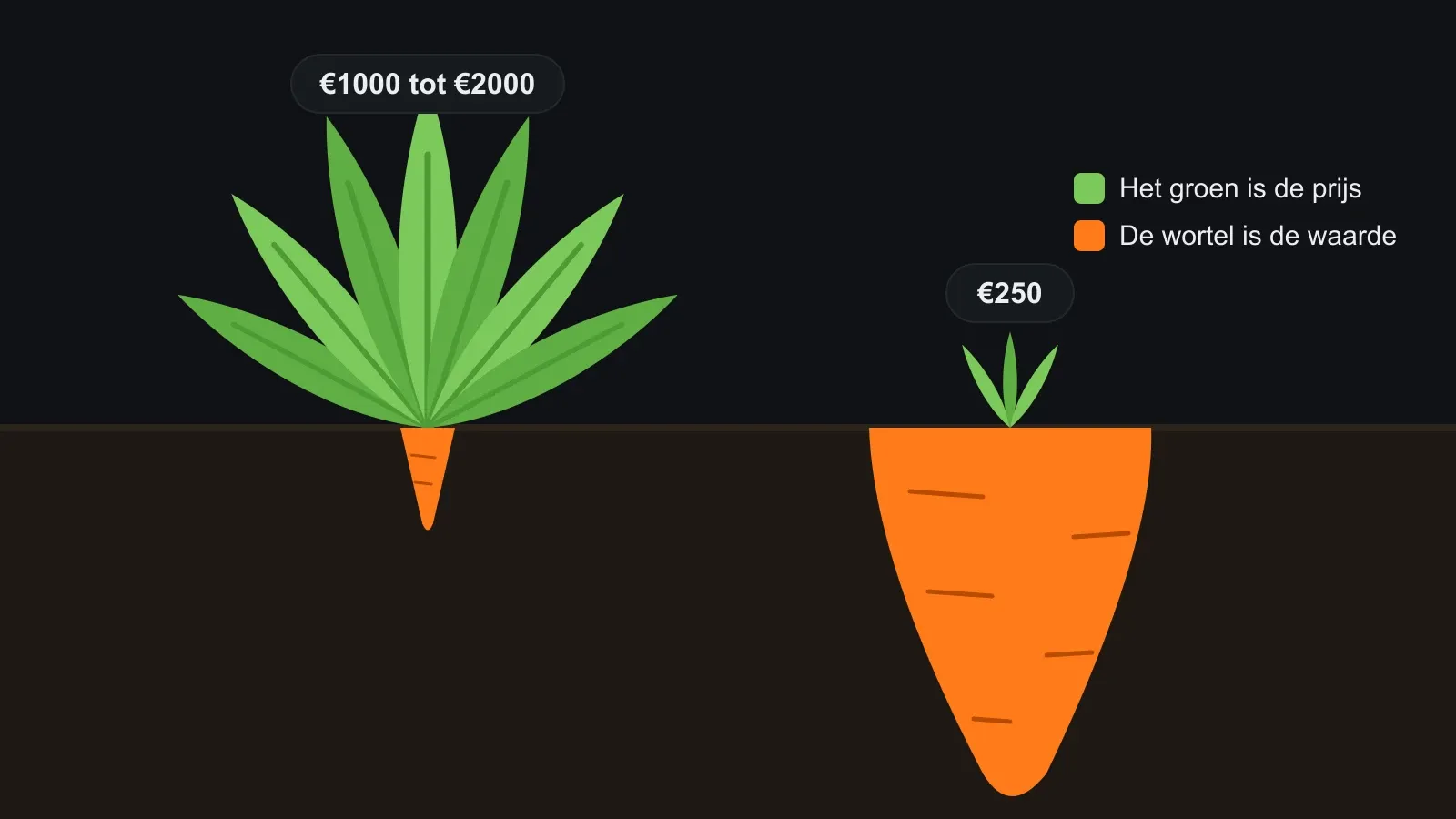 Getekende illustratie van twee wortels: links veel loof boven de grond met een piepklein worteltje eronder en het prijskaartje €1000 tot €2000, rechts weinig loof met een grote wortel eronder en het prijskaartje €250. Het groen staat voor de prijs, de wortel voor de waarde.